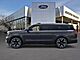 2025 Ford Expedition Max Platinum Oshkosh WI