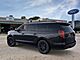 2025 Ford Expedition Max Platinum Oshkosh WI