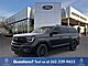 2025 Ford Expedition Max Platinum Oshkosh WI 2025 Ford Expedition Max Platinum Oshkosh WI