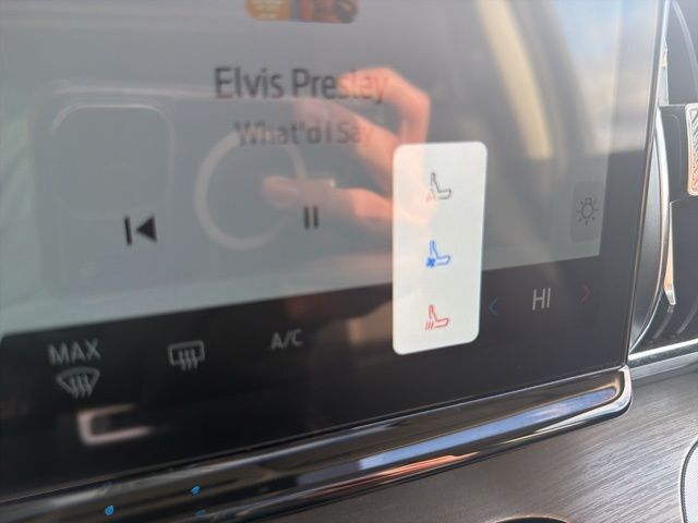 2025 Ford Expedition Max Platinum Watertown SD