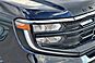 2025 Ford Expedition Platinum  TX