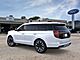 2025 Ford Expedition Platinum Oshkosh WI