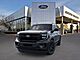 2025 Ford Expedition Platinum Oshkosh WI