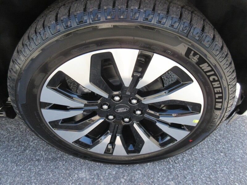 2025 Ford Expedition Platinum St. George SC
