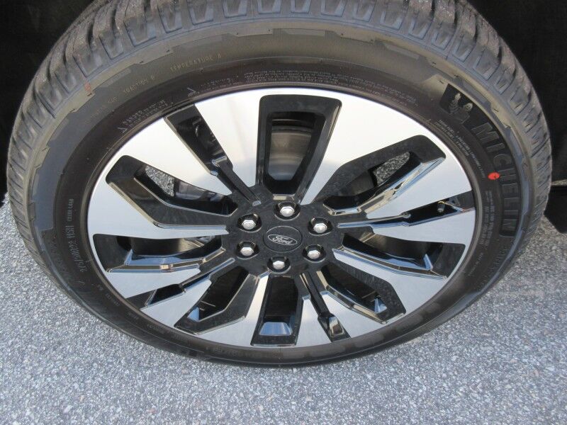 2025 Ford Expedition Platinum St. George SC