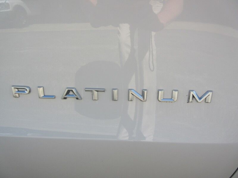 2025 Ford Expedition Platinum St. George SC