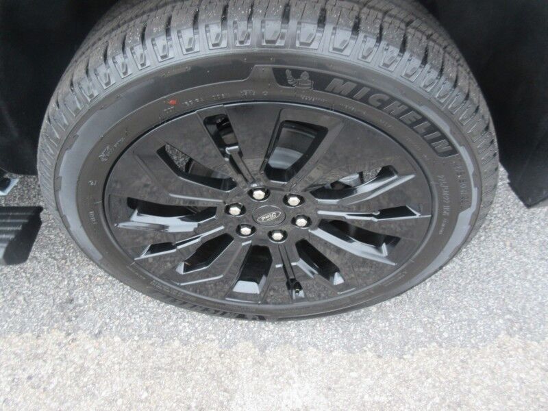 2025 Ford Expedition Platinum St. George SC