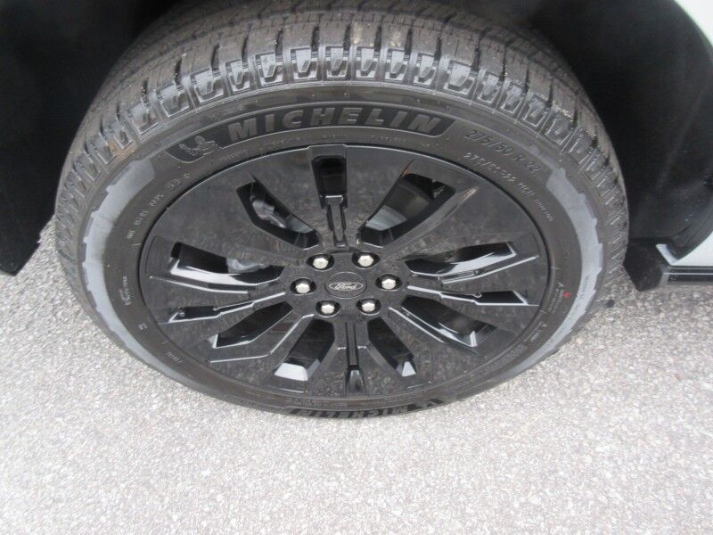 2025 Ford Expedition Platinum St. George SC