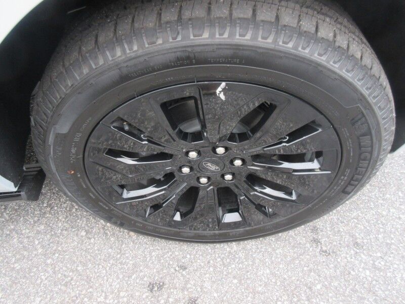 2025 Ford Expedition Platinum St. George SC