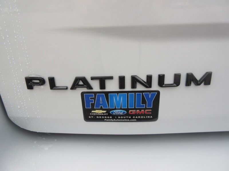 2025 Ford Expedition Platinum St. George SC