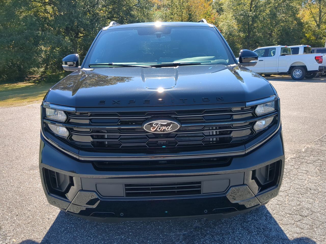 2025 Ford Expedition Platinum Winder GA