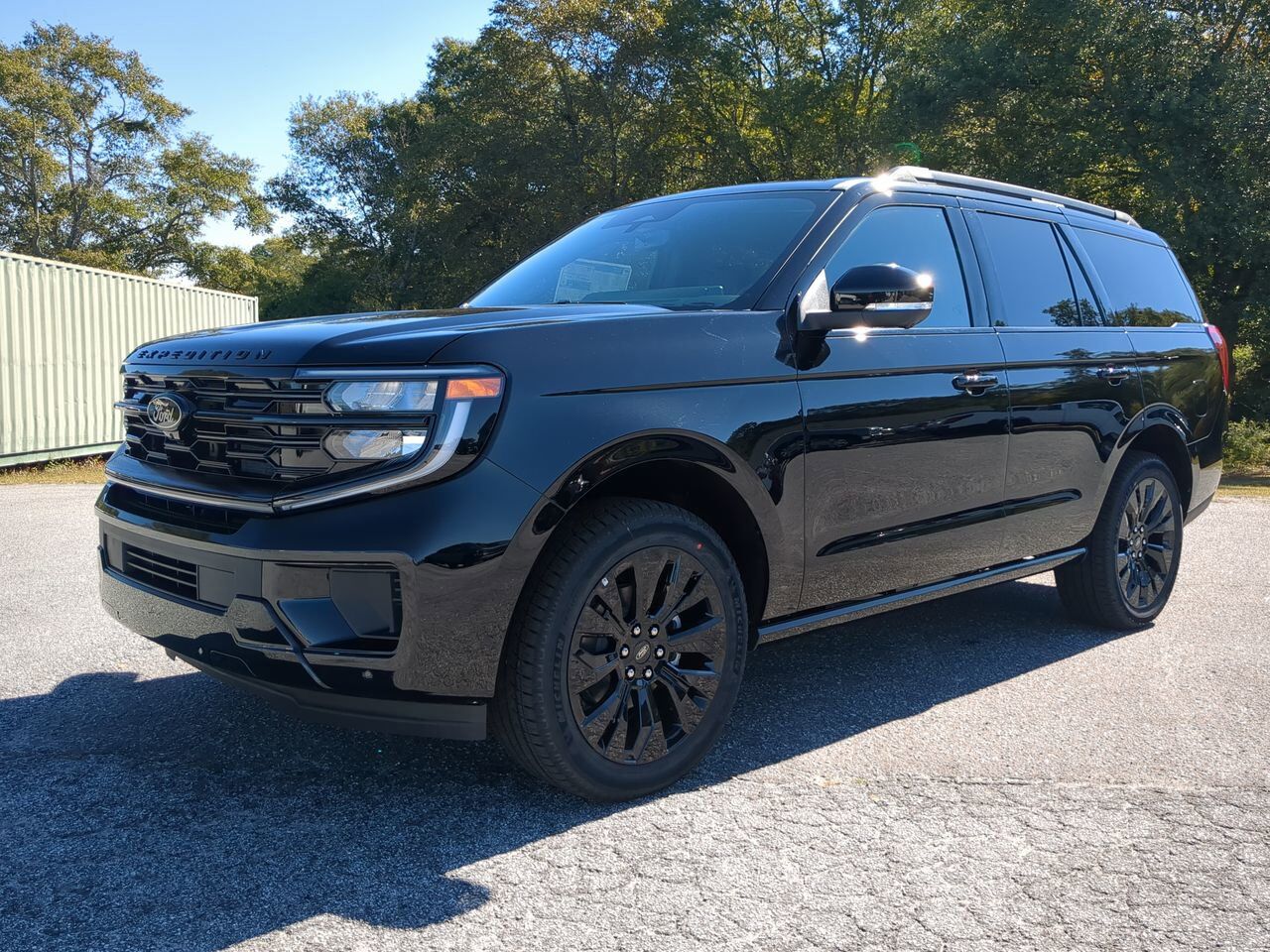 2025 Ford Expedition Platinum Winder GA
