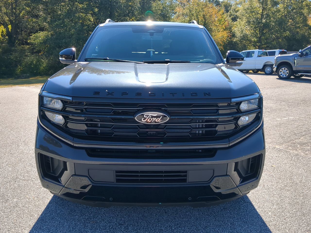 2025 Ford Expedition Platinum Winder GA