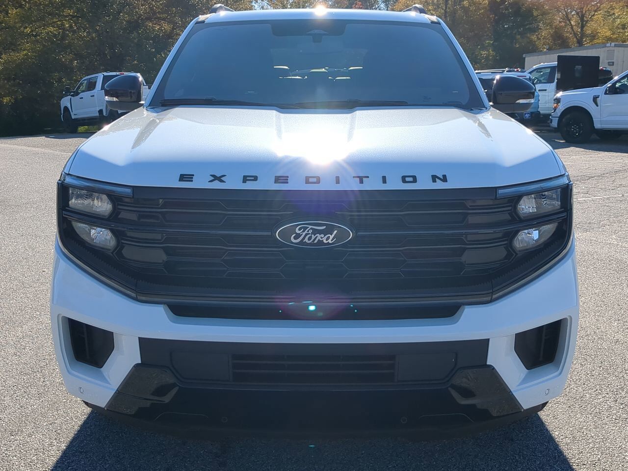 2025 Ford Expedition Platinum Winder GA