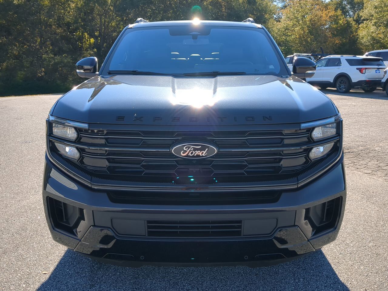 2025 Ford Expedition Platinum Winder GA