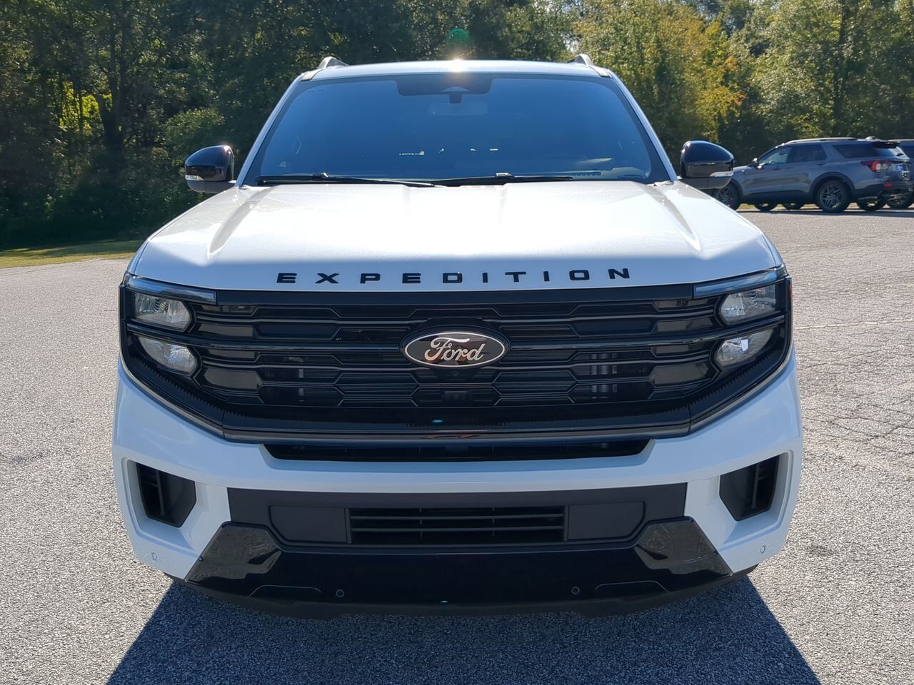 2025 Ford Expedition Platinum Winder GA