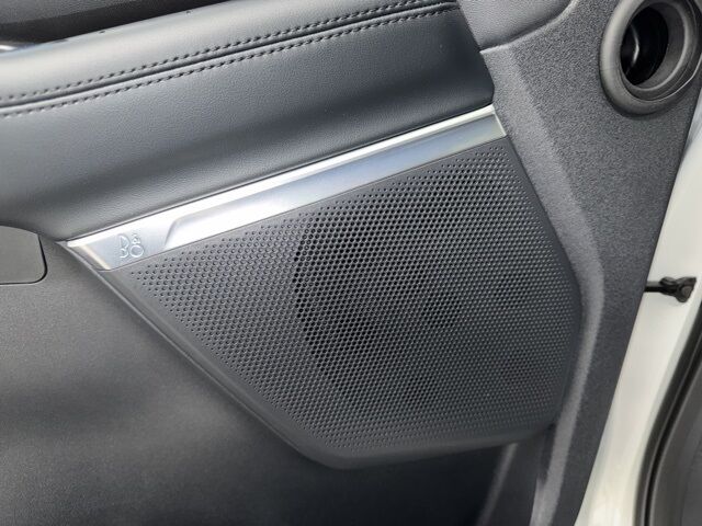 2025 Ford Expedition Tremor Pine River MN