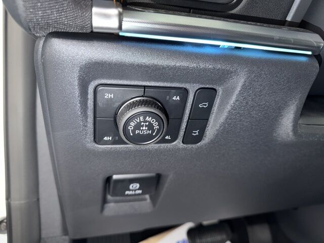 2025 Ford Expedition Tremor Pine River MN