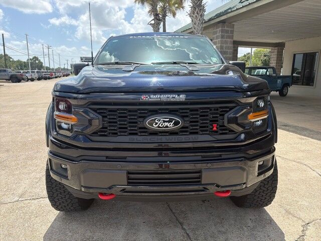 2025 Ford F-150 BLACK WIDOW WHIPPLE SUPERCHARGED OVER 100K MSRP Lafayette LA