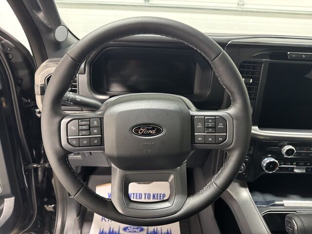 2025 Ford F-150 Lariat Pine River MN