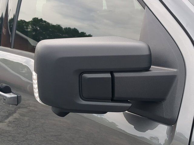 2025 Ford F-150 Lightning Flash Appleton WI