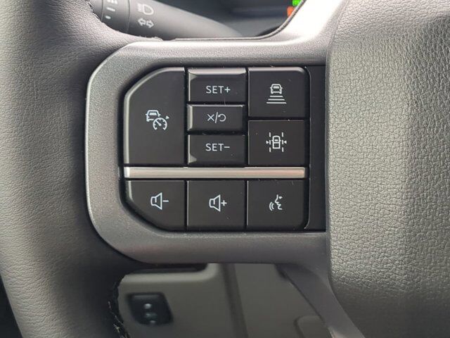 2025 Ford F-150 Lightning Flash Appleton WI
