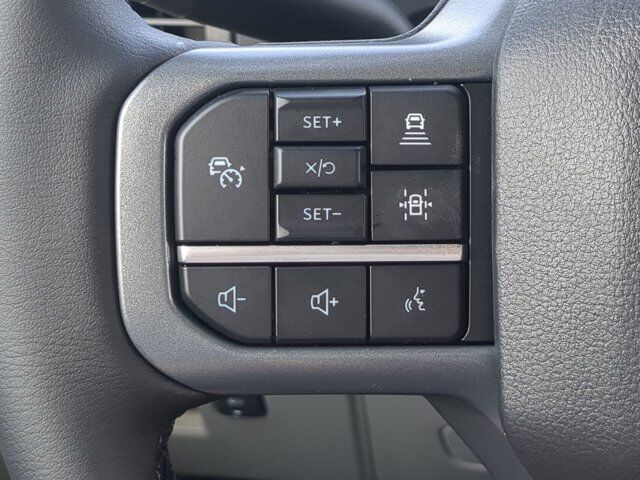 2025 Ford F-150 Lightning Flash Appleton WI