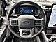 2025 Ford F-150 Lightning Flash Oshkosh WI