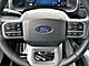 2025 Ford F-150 Lightning Flash Oshkosh WI