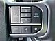 2025 Ford F-150 Lightning Flash Oshkosh WI