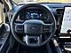 2025 Ford F-150 Lightning Flash Oshkosh WI