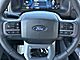 2025 Ford F-150 Lightning Flash Oshkosh WI
