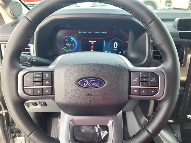 2025 Ford F-150 Lightning Flash Roseville CA