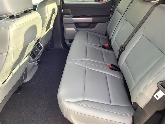 2025 Ford F-150 Lightning Flash Roseville CA