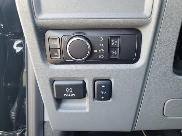 2025 Ford F-150 Lightning Flash Roseville CA