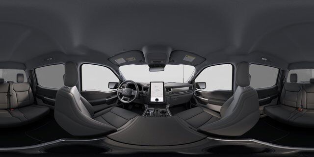 2025 Ford F-150 Lightning Flash Winder GA