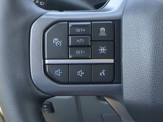 2025 Ford F-150 Lightning Flash Winder GA