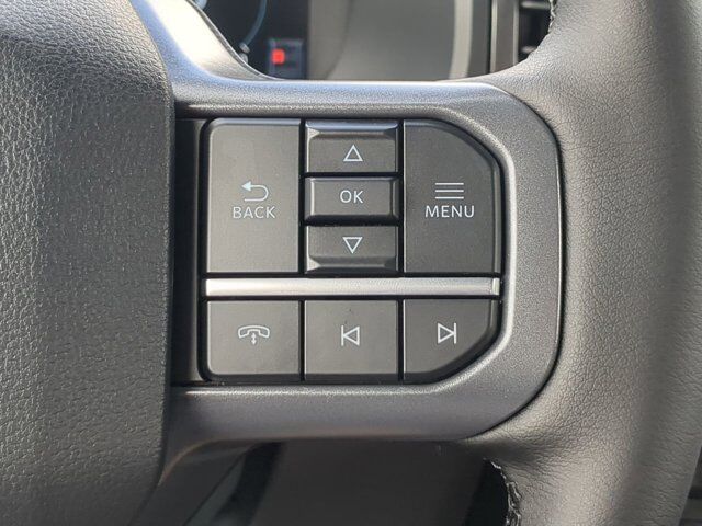 2025 Ford F-150 Lightning Flash Winder GA