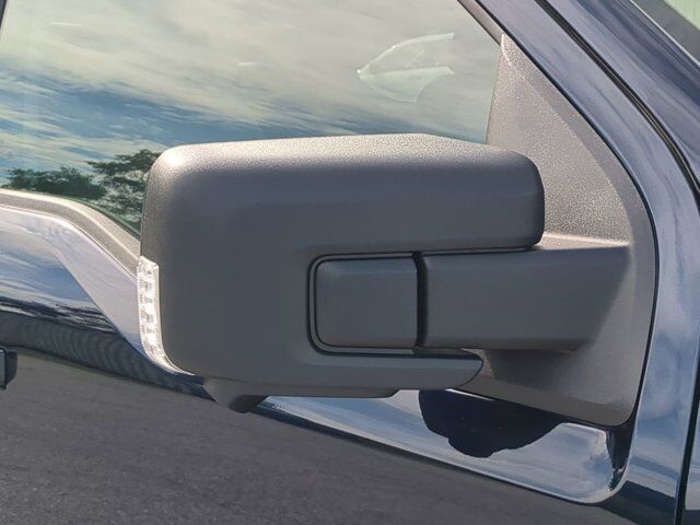 2025 Ford F-150 Lightning Flash Winder GA