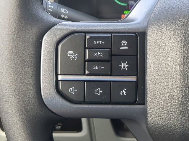 2025 Ford F-150 Lightning Flash Winder GA