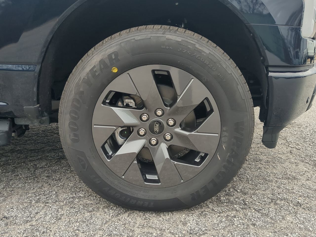 2025 Ford F-150 Lightning Flash Winder GA