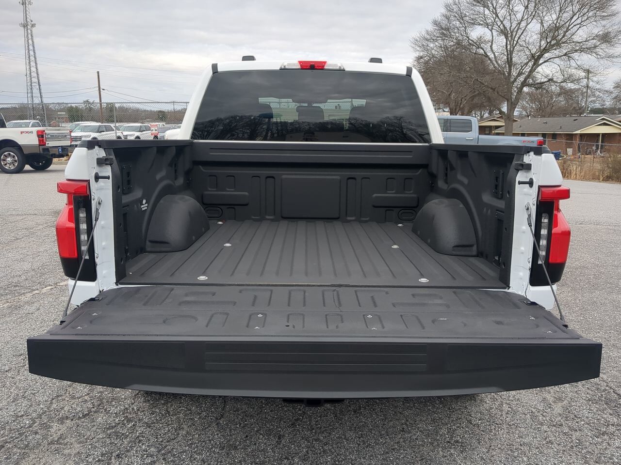 2025 Ford F-150 Lightning Flash Winder GA