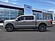 2025 Ford F-150 Lightning Lariat Oshkosh WI