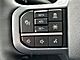 2025 Ford F-150 Lightning Lariat Oshkosh WI