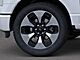 2025 Ford F-150 Lightning Platinum Oshkosh WI 2025 Ford F-150 Lightning Platinum Oshkosh WI