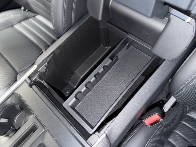 2025 Ford F-150 Lightning Platinum Pine River MN