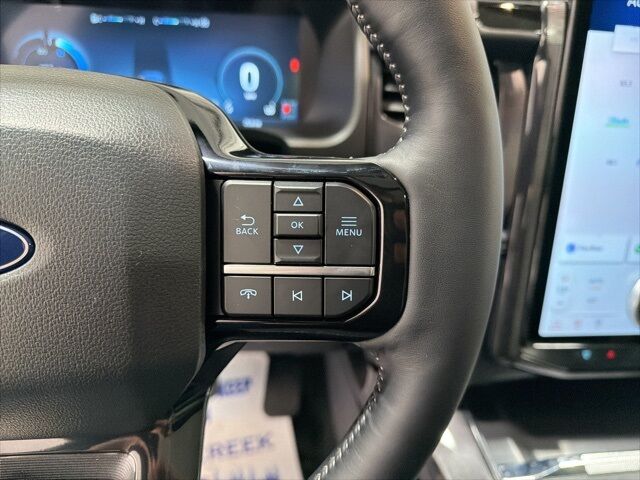 2025 Ford F-150 Lightning Platinum Pine River MN