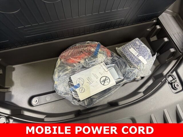 2025 Ford F-150 Lightning Platinum Pine River MN