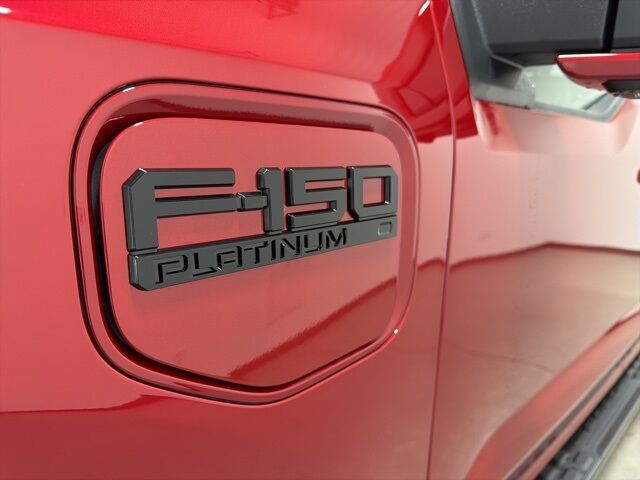 2025 Ford F-150 Lightning Platinum Pine River MN