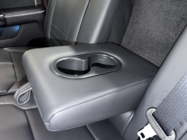 2025 Ford F-150 Lightning Platinum Pine River MN